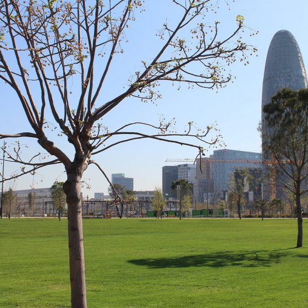 Plaça de les Glòries – Barcelona